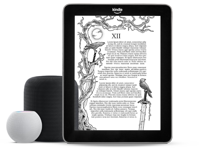 audiobook-service-info-image