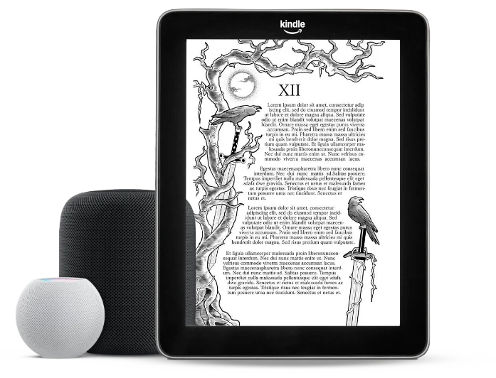 audiobook-service-info-image